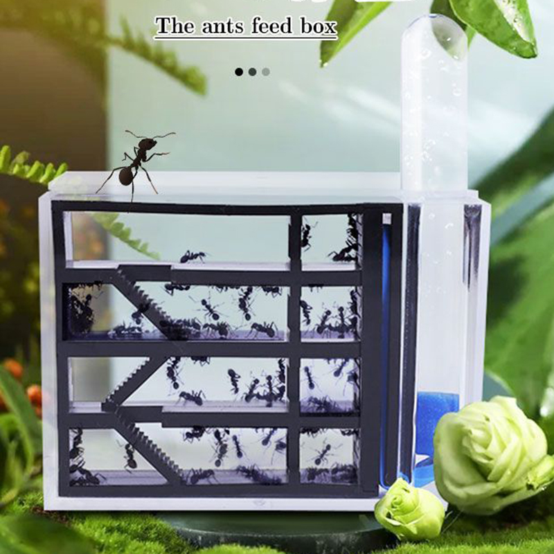 Kingdom Kids Education - Mierenkoningrijk Mierennest Kasteel Mierenobservatiebox Insectenbox Kwekerij