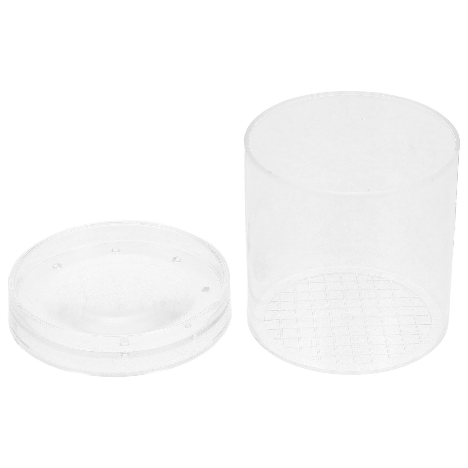 3X vergrotende insectenobserva - Kids Education Tools recensie en prijs