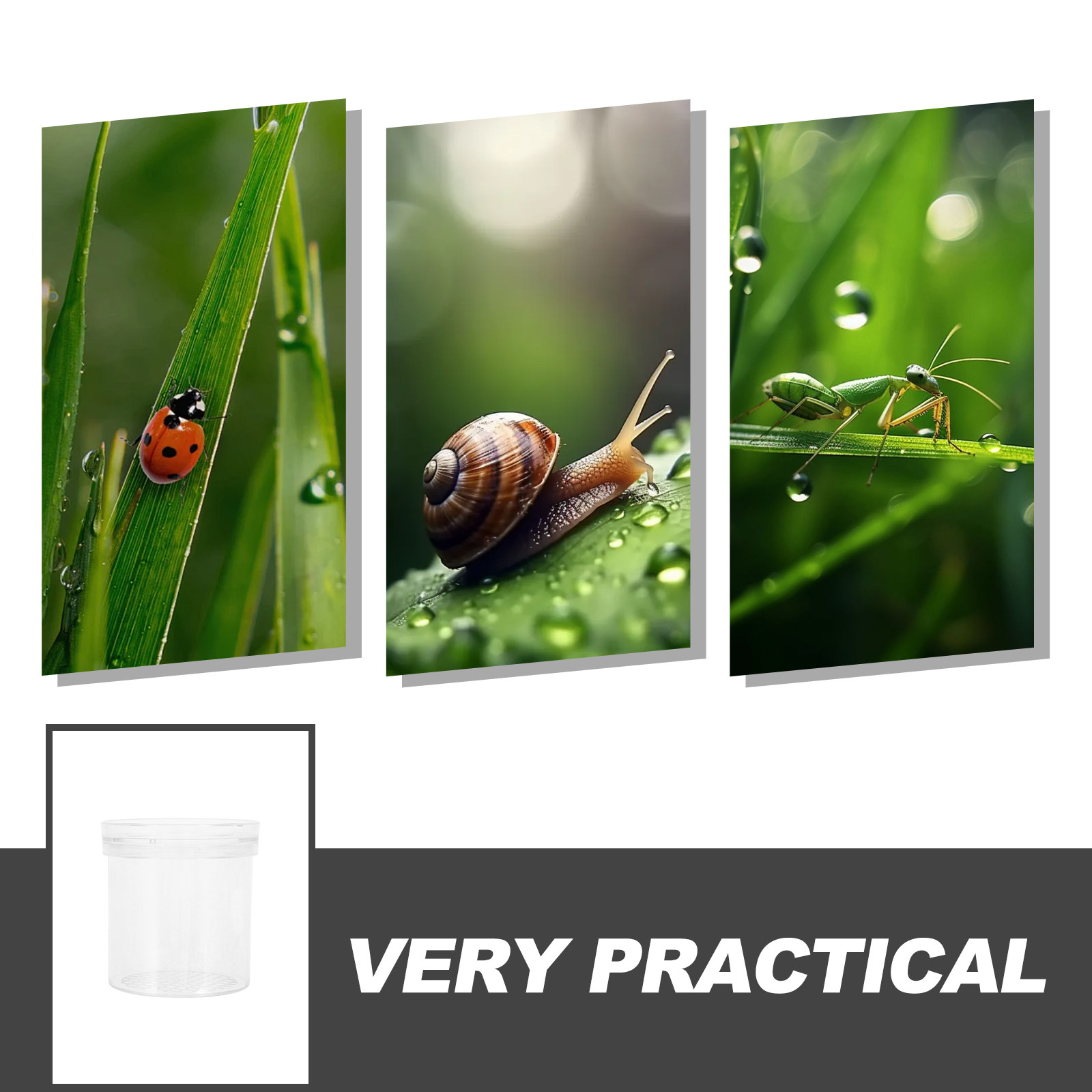 3X vergrotende insectenobserva - Kids Education Tools recensie en prijs