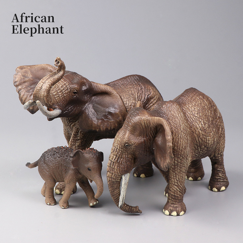 Afrikaanse wilde dieren Grote  - Kids Education Movies recensie en prijs