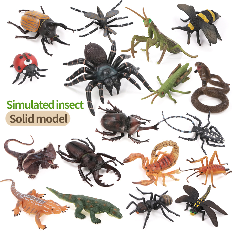 Educatieve simulatie insecten- - Kids Education Movies recensie en prijs