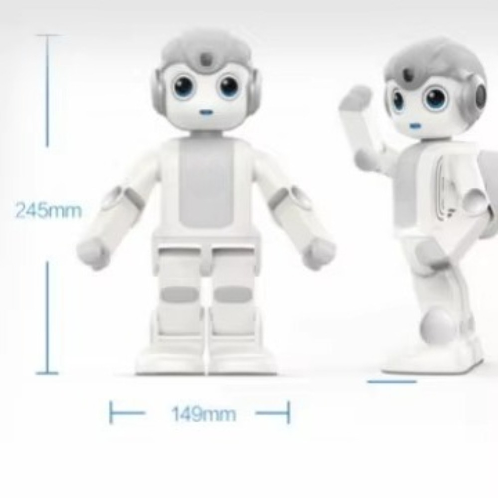 Humanoïde AI-programmeerrobot  - Kids Education Program recensie en prijs